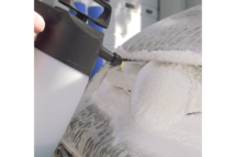IK Foam 1.5 Sprayer